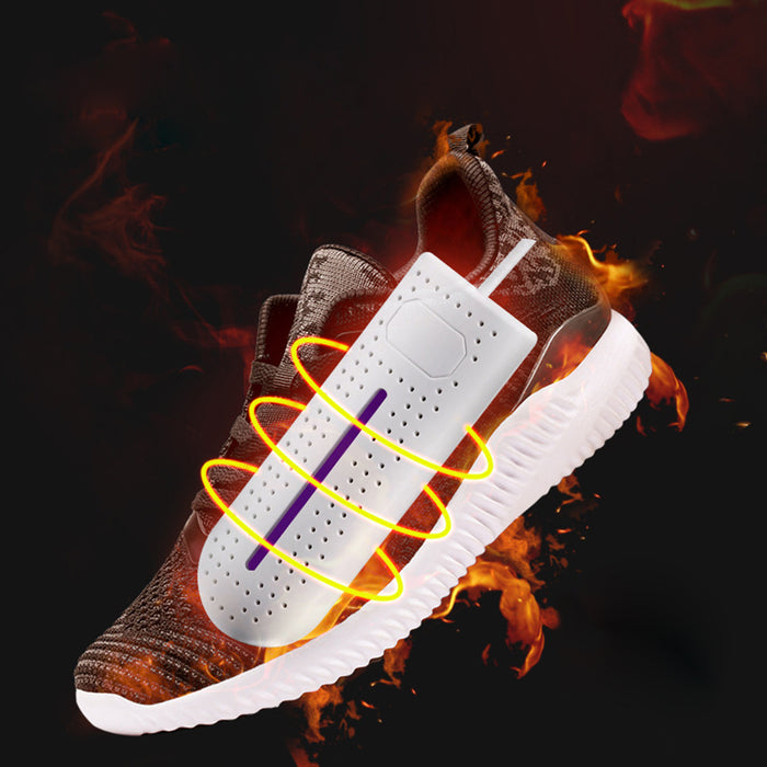 Asciuga scarpe elettrico 220V