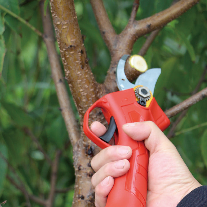 CESOIA - FORBICE CON DOPPIA BATTERIA 20Volt