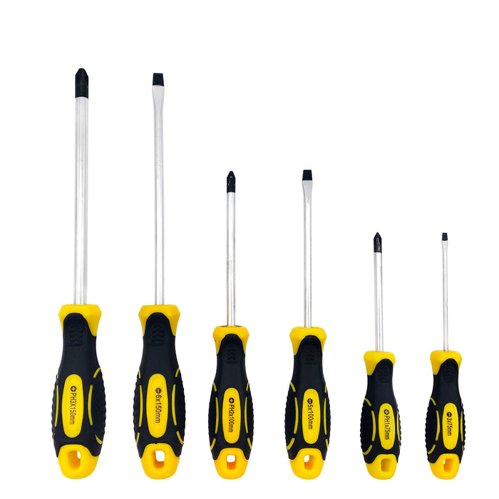 SET 6 PEZZI CACCIAVITI ASSORTITI professionale