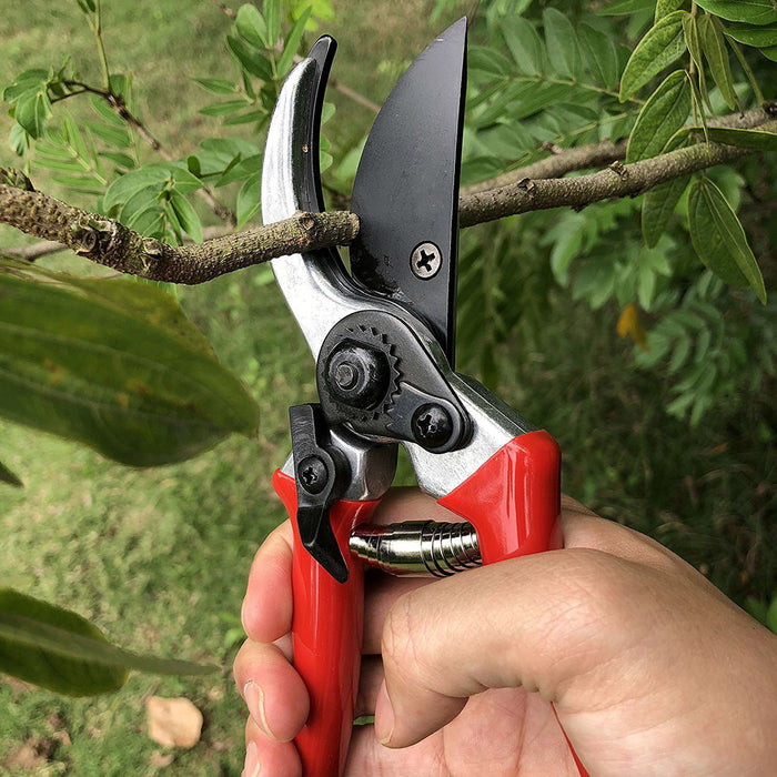 GARDEN SCISSORS FOR PRUNING
