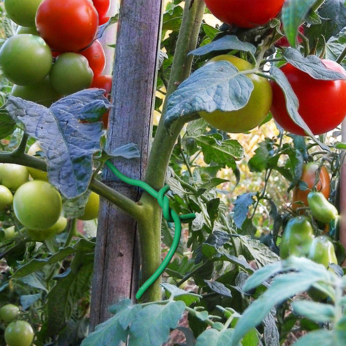 FILO PER LEGATURA PIANTE