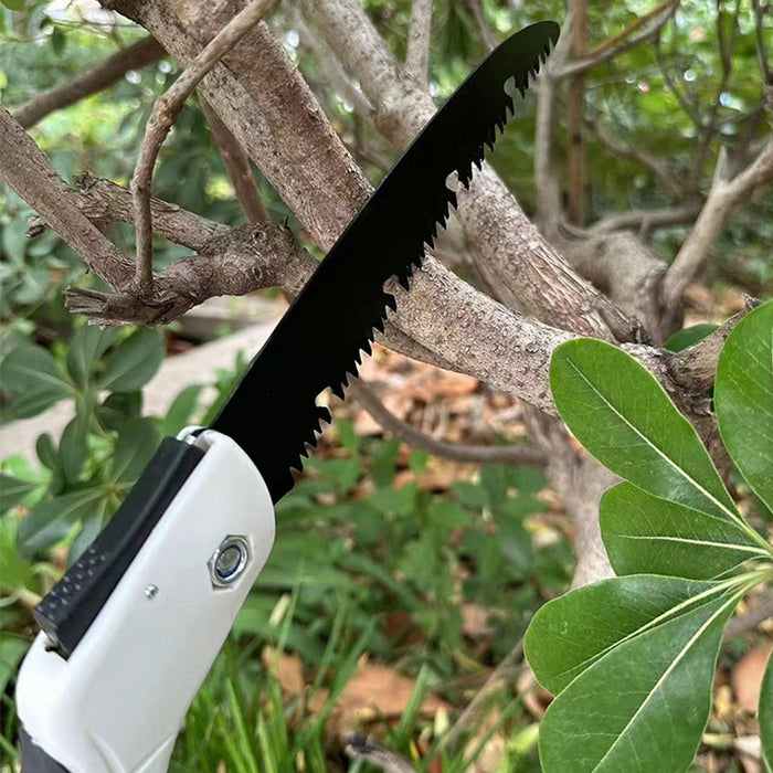 SEGACCIO A MANO PROFI