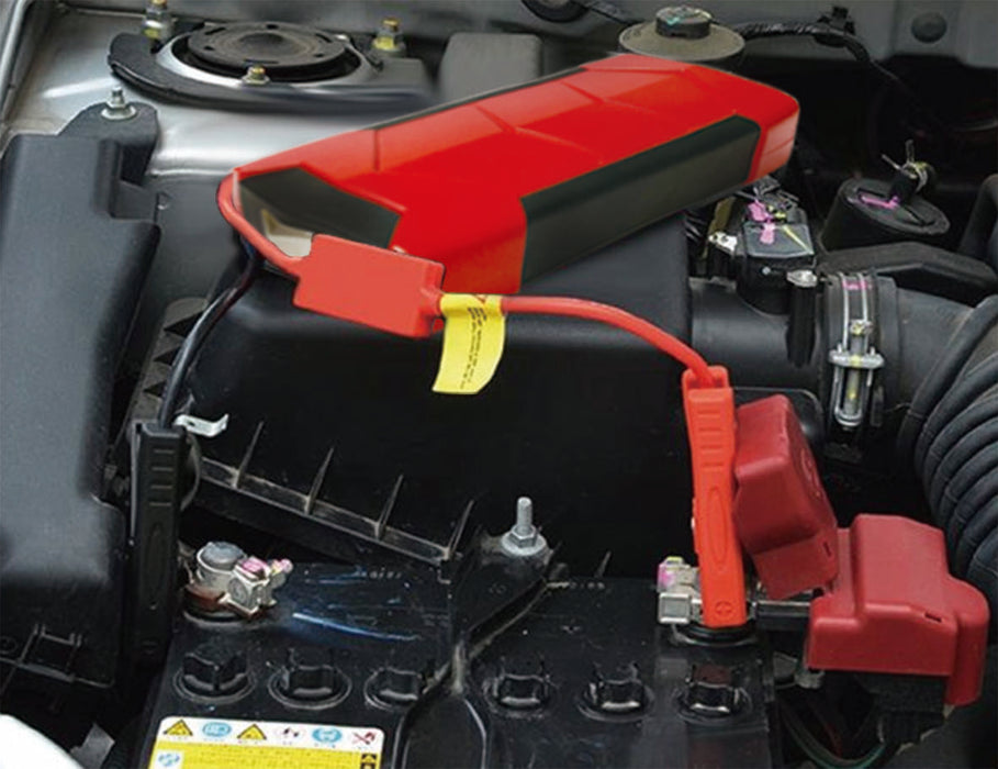 PROFESSIONAL PORTABLE JUMP STARTER 3 IN 1